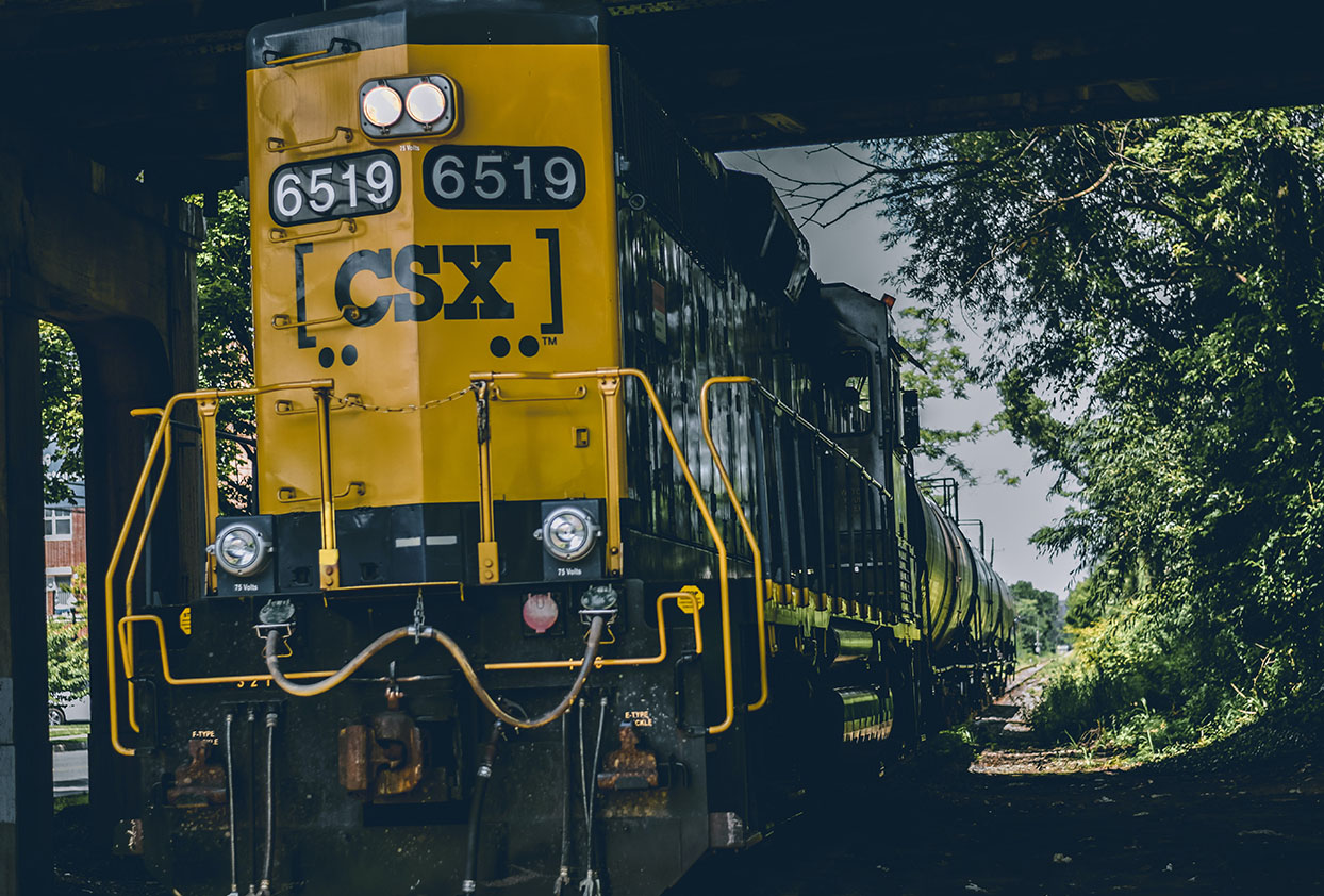Domestic__0001_brian-suh-Td8bl6pe-JA-unsplash